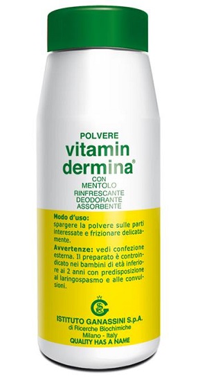 VITAMINDERMINA POLVERE MENT 100 G - Farmapanda Srl