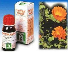 CALENDULA OFF 5 50ML TM - Farmapanda Srl