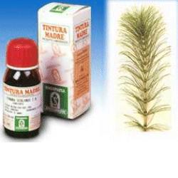 EQUISETO 12 50ML TM - Farmapanda Srl