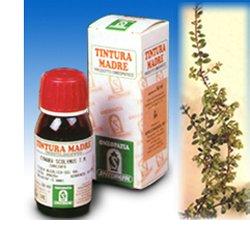 UVA URSINA 30 50ML TM - Farmapanda Srl