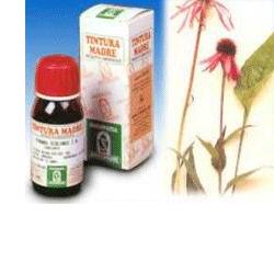 ECHINACEA 59 50ML TM - Farmapanda Srl