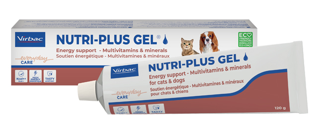 NUTRIPLUS GEL PASTA ORALE 120 G - Farmapanda Srl