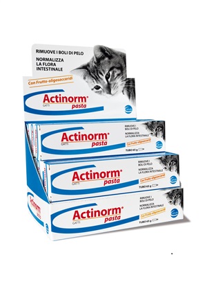 ACTINORM PASTA GATTI 65 G - Farmapanda Srl