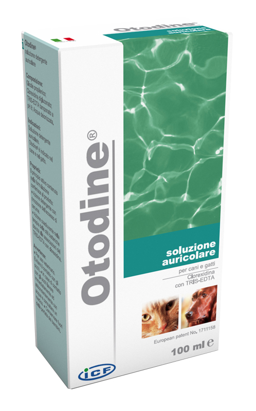 OTODINE DETERGENTE LIQUIDO 50 ML - Farmapanda Srl