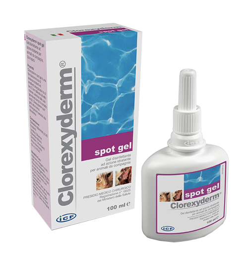 CLOREXYDERM SPOT GEL 100 ML - Farmapanda Srl