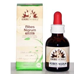 FITOBLASTO RIBES NIGRUM 50 ML - Farmapanda Srl