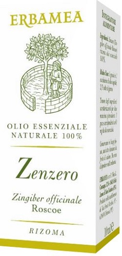 ZENZERO 10 ML - Farmapanda Srl
