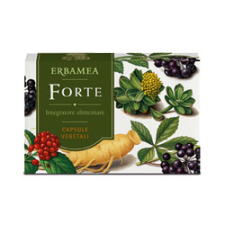 FORTE 24 CAPSULE - Farmapanda Srl