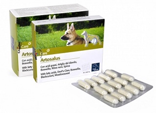 ARTOSALUS COMPRESSE 30 COMPRESSE - Farmapanda Srl