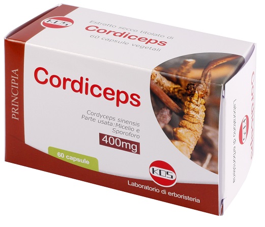 CORDICEPS ESTRATTO SECCO 60 CAPSULE - Farmapanda Srl