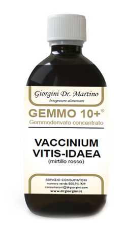 GEMMO 10+ MIRTILLO ROSSO LIQUIDO ANALCOLICO 500 ML - Farmapanda Srl