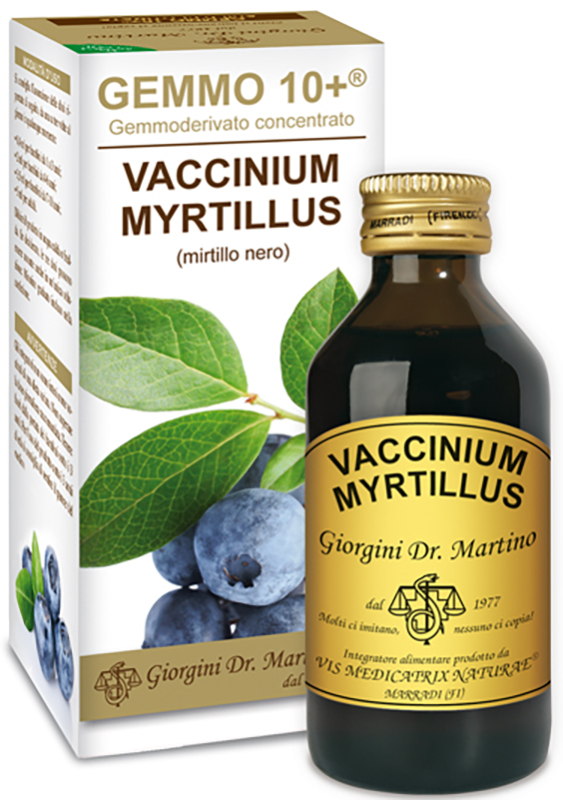 GEMMO 10+ GEMMODERIVATO CONCENTRATO VACCINIUM MYRTILLUS MIRTILLO NERO SENZA ALCOOL 100 ML - Farmapanda Srl