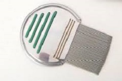 PETTINE ACCIAIO PER RIMOZIONE PIDOCCHI - Farmapanda Srl