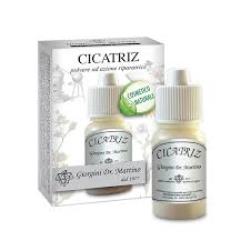 CICATRIZ POLVERE 10 G - Farmapanda Srl
