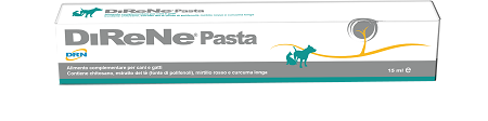 DIRENE PASTA 15 ML - Farmapanda Srl