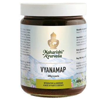 VYANAMAP PASTA 600 G - Farmapanda Srl