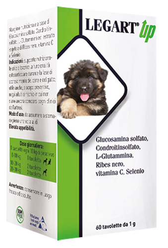 LEGART UP 60 COMPRESSE DA 1 G - Farmapanda Srl