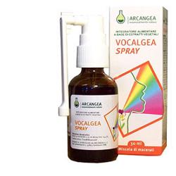 VOCALGEA SPRAY SOLUZIONEN ALCOLICA 30 ML - Farmapanda Srl
