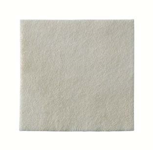 MEDICAZIONE BIATAIN ALGINATE AG ALGINATO CON ARGENTO 10X10CM 10 PEZZI - Farmapanda Srl