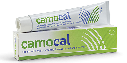 CREMA VEGETALE PER LE AFFEZIONI ANALI CAMOCAL 50 ML - Farmapanda Srl