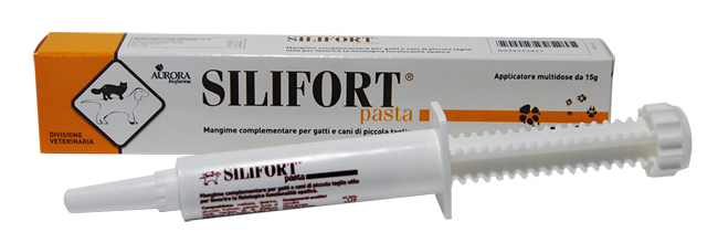SILIFORT PASTA OS SIRINGA 15 G - Farmapanda Srl