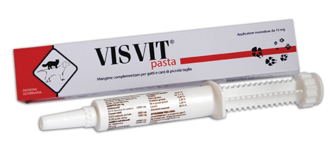 VISVIT PASTA OS SIRINGA 15 G - Farmapanda Srl