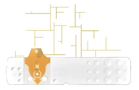 STRISCE MISURAZIONE GLICEMIA LINEA D ORO 25 PEZZI - Farmapanda Srl