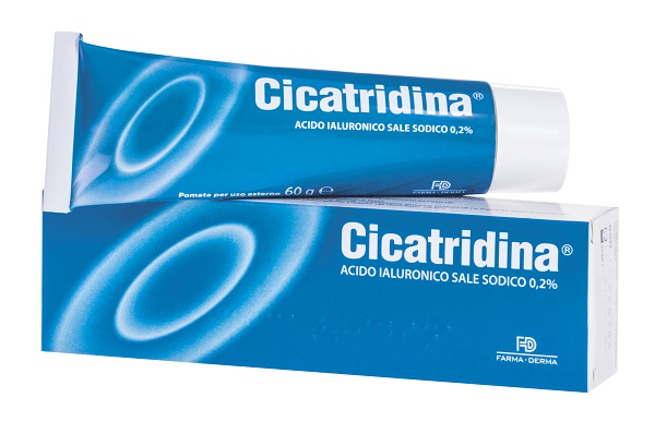 CICATRIDINA POMATA 60 G - Farmapanda Srl