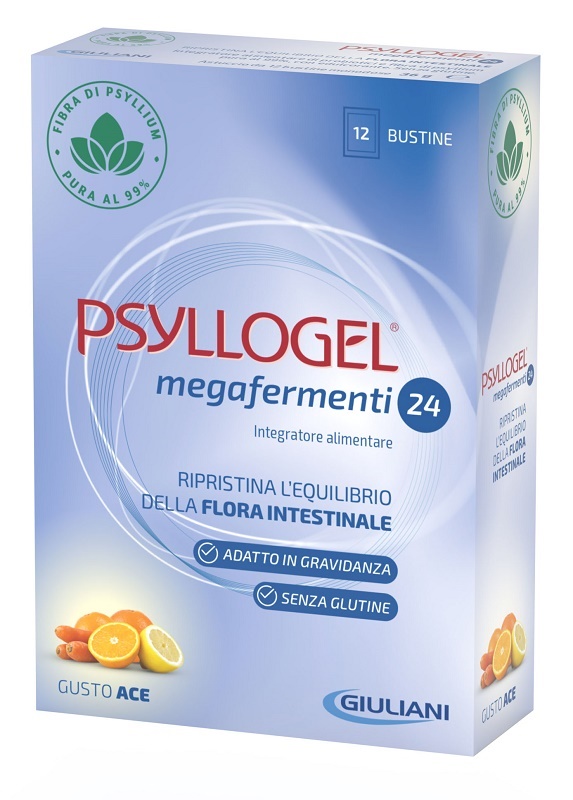 PSYLLOGEL MEGAFERMENTI 24 ACE 12 BUSTE 3 G - Farmapanda Srl