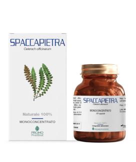 SPACCAPIETRA 50 CAPSULE - Farmapanda Srl