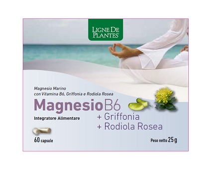 MAGNESIO B6 + GRIFFONIA + RODIOLA 60 CAPSULE - Farmapanda Srl