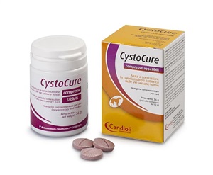 CYSTOCURE FORTE BARATTOLO 30 COMPRESSE - Farmapanda Srl