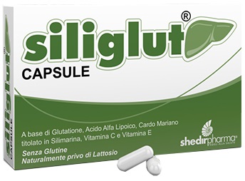 SILIGLUT 20 CAPSULE - Farmapanda Srl