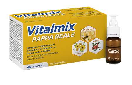 VITALMIX PAPPA REALE 10FLACONCINI X10 ML S/GL - Farmapanda Srl