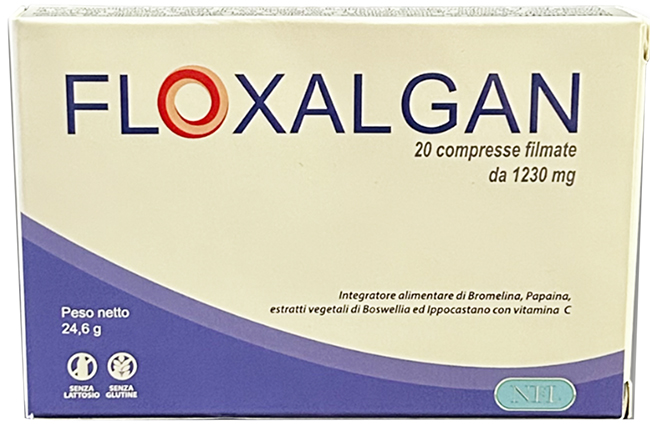 FLOXALGAN 20 COMPRESSE RIVESTITE DA 1,02 G - Farmapanda Srl