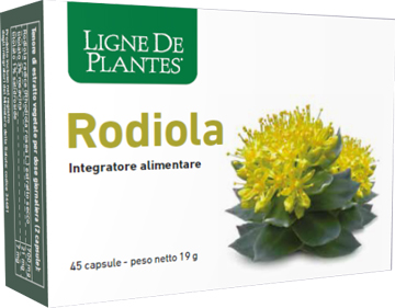 RODIOLA 45 CAPSULE - Farmapanda Srl