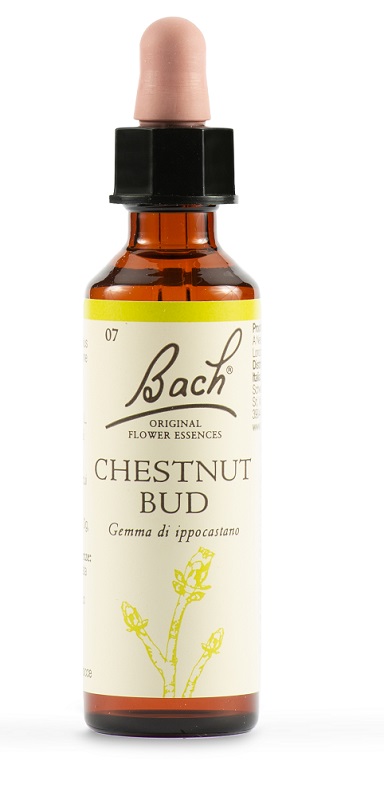 CHESTNUT BUD BACH ORIG 20 ML - Farmapanda Srl