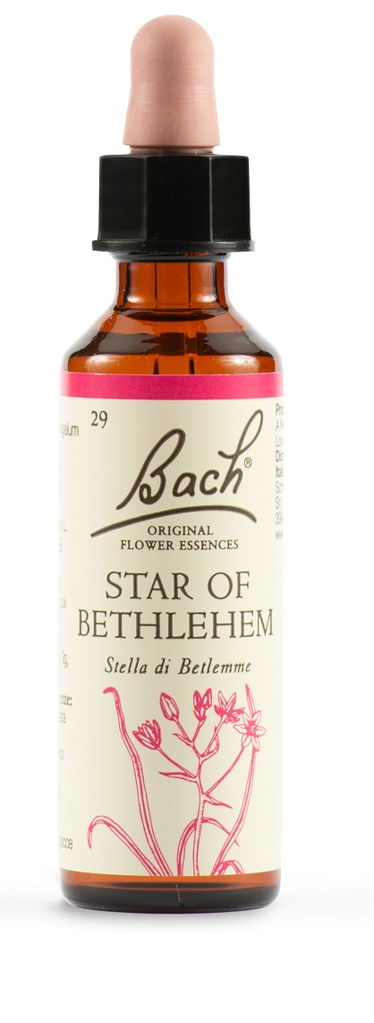 STAR OF BETHL ORIG 20 ML - Farmapanda Srl
