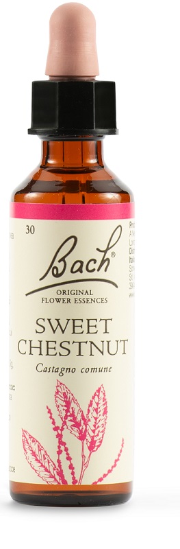SWEET CHEST BACH ORIG 20 ML - Farmapanda Srl