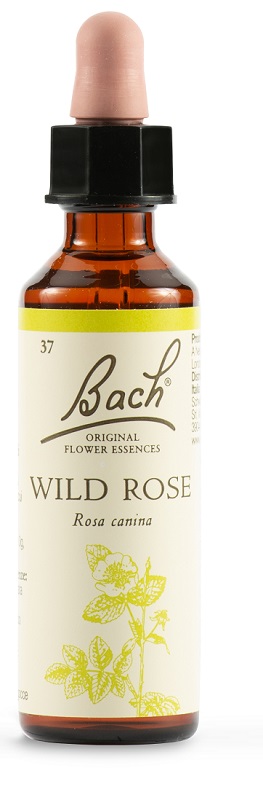 WILD ROSE BACH ORIG 20 ML - Farmapanda Srl