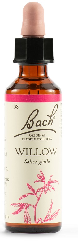WILLOW BACH ORIG 20 ML - Farmapanda Srl