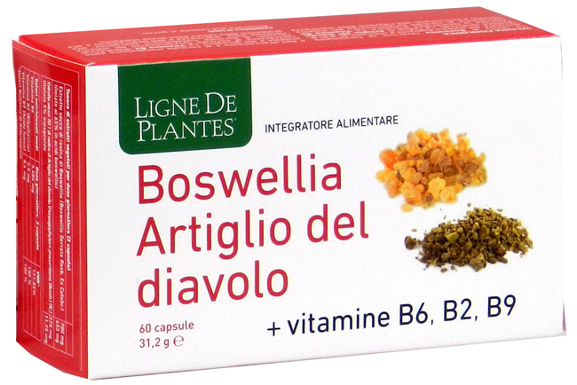 BOSWELLIA ARTIGLIO DIAVOLO VITAMINE B2 B6 B9 60 CAPSULE - Farmapanda Srl