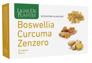 BOSWELLIA CURCUMA ZENZERO 60 CAPSULE - Farmapanda Srl