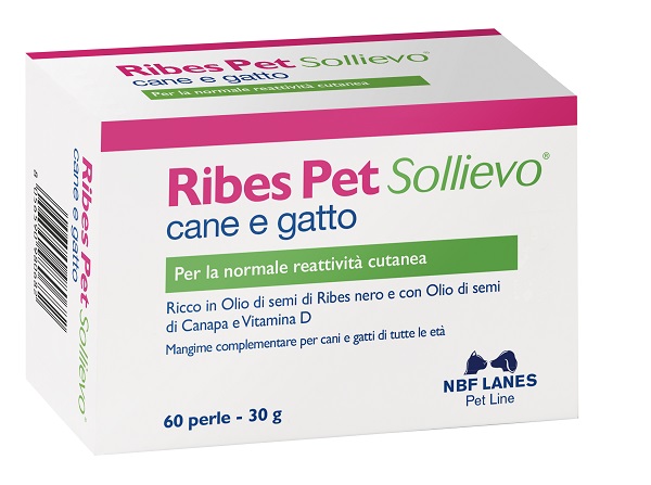 RIBES PET SOLLIEVO BLISTER 60 PERLE - Farmapanda Srl