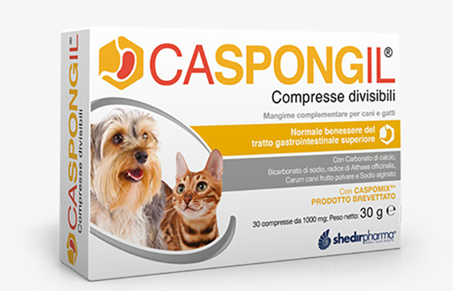 CASPONGIL 30 COMPRESSE DIVISIBILI - Farmapanda Srl