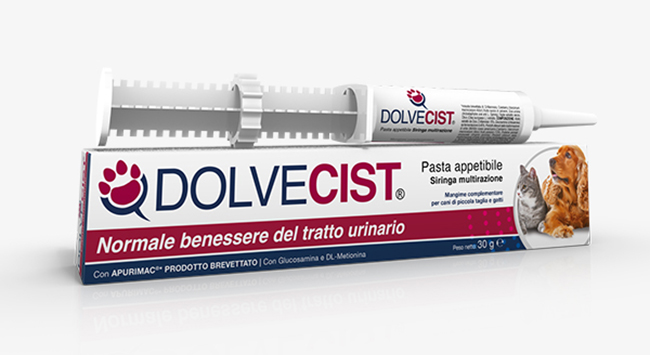 DOLVECIST PASTA SIRINGA 30 G - Farmapanda Srl