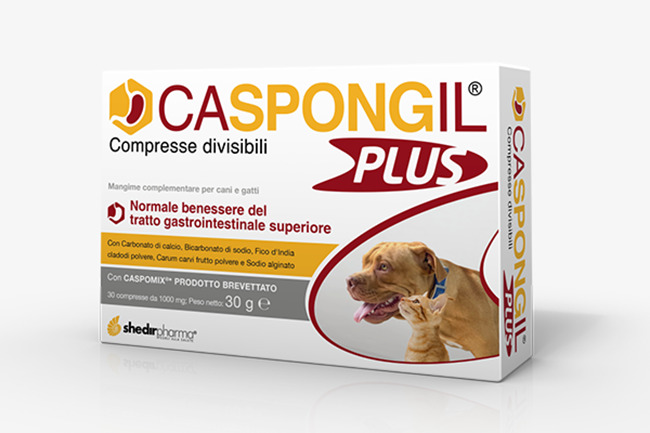 CASPONGIL PLUS 30 COMPRESSE - Farmapanda Srl