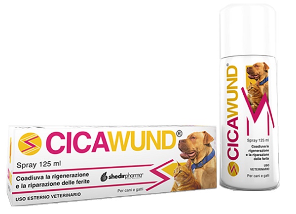 CICAWUND SPRAY 125 ML - Farmapanda Srl
