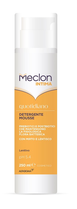 MECLON INTIMA QUOTIDIANO DETERGENTE MOUSSE 250 ML - Farmapanda Srl