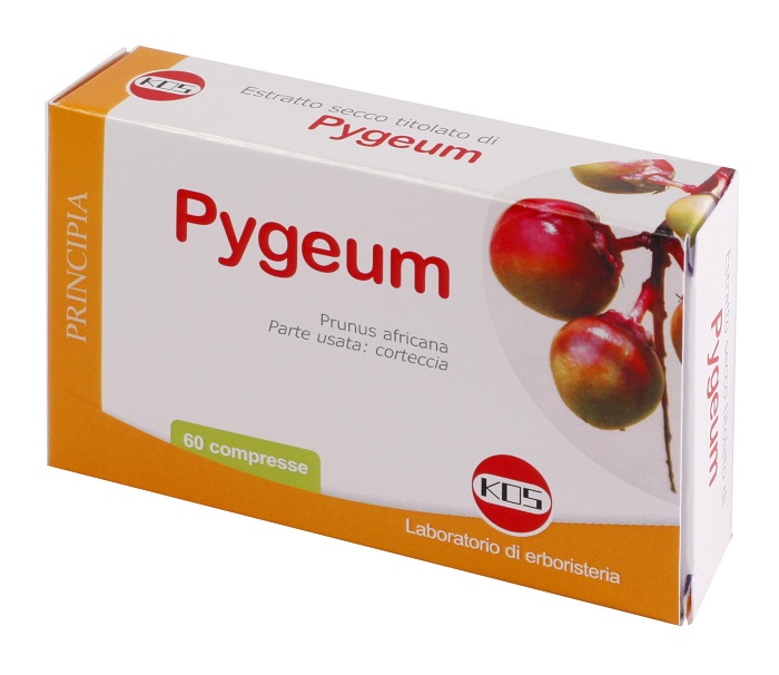 PYGEUM ESTRATTO SECCO 60 COMPRESSE - Farmapanda Srl